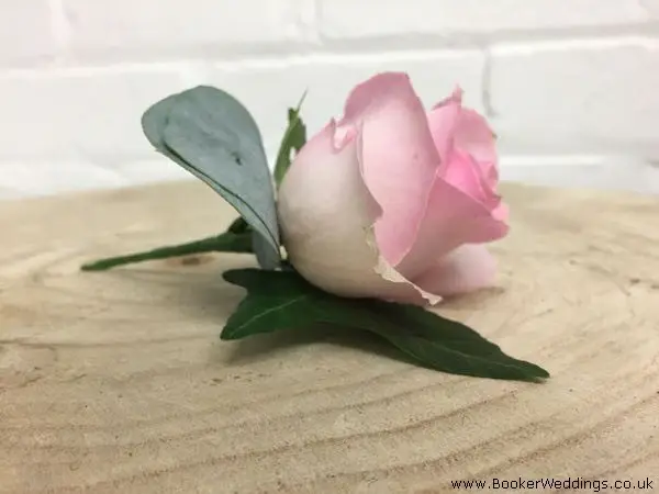 Pink Rose Buttonhole for Wedding Guests