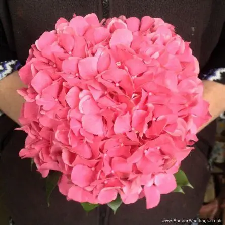 Cerise Hydrangea Bridesmaid Bouquet