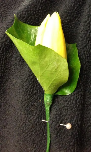 Yellow Tulip Buttonhole