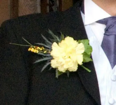 Carnation and Eryngium Buttonhole