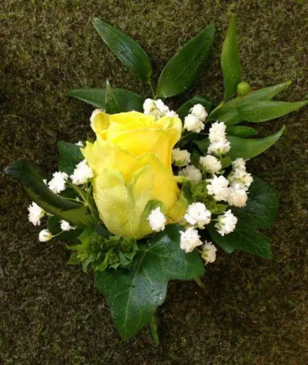 Yellow Rose and Gyp Corsage