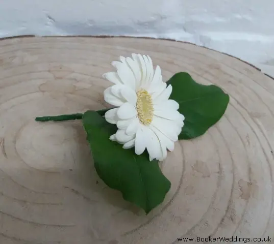 Guest Buttonhole of White Gerbera