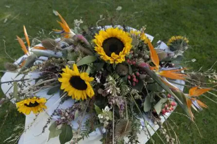 Sunflower and Strelitzia Natural Ceremony Table Arrangement