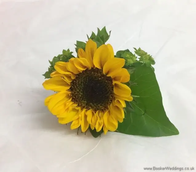Yellow gerbera buttonhole