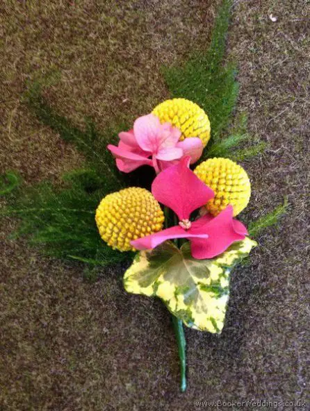 Crasspida and Hydrangea Buttonhole