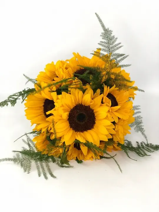 Sunflower Bridal Bouquet with Asparagus Fern
