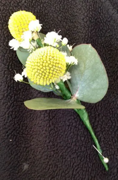 Craspedia Buttonhole