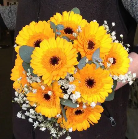 Yellow Gerbera and Gypsophila Bridesmaid Bouquet