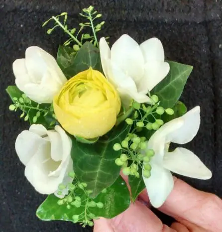 Yellow ranunculus and Freesia Corsage
