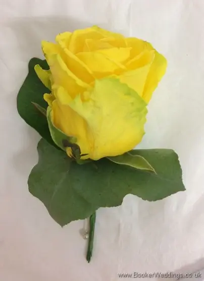 Yellow rose buttonhole