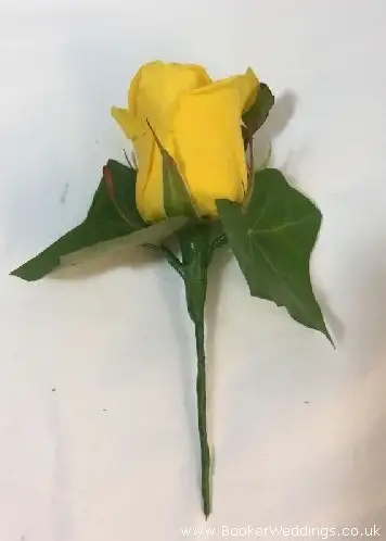 Classic yellow rose and ivy buttonhole for bestman